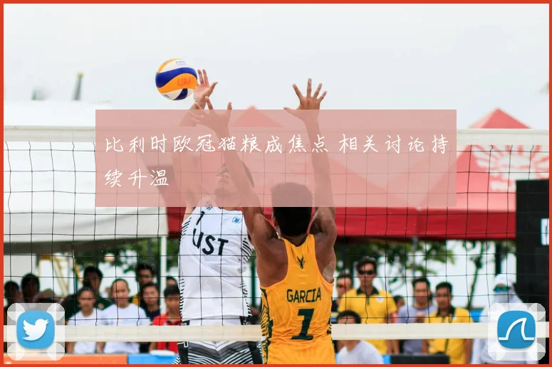 比利时欧冠猫粮成焦点 相关讨论持续升温